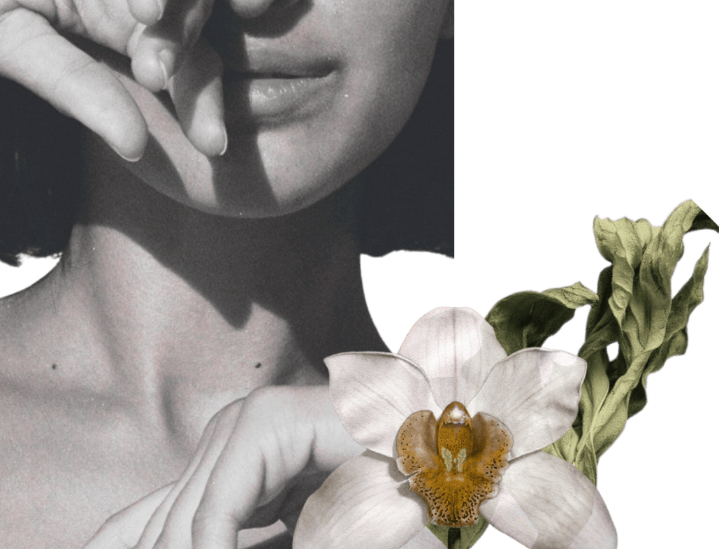Shop our most coveted products